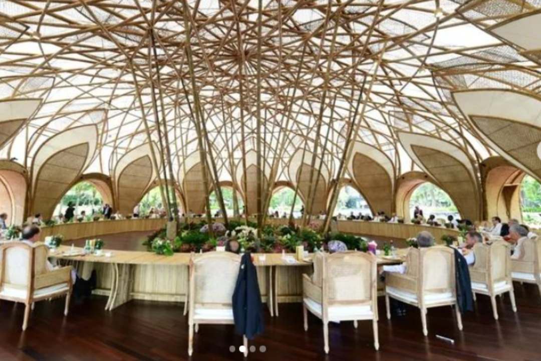 bamboo dome
