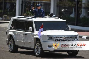 Mobil Maung