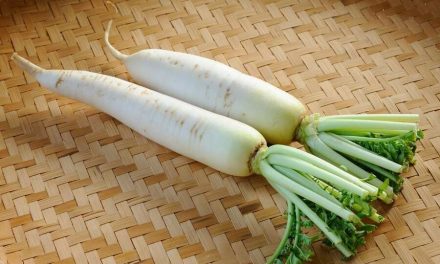 Manfaat Lobak, Sayur yang Sangat Populer di Jepang