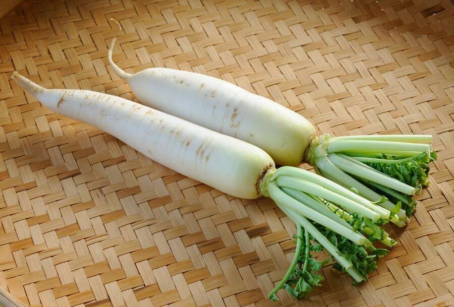 Manfaat Lobak, Sayur yang Sangat Populer di Jepang