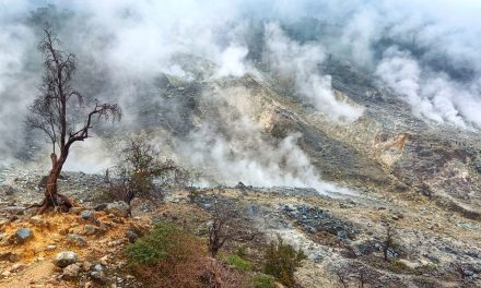 Menikmati Jalur Trekking Kawah Ratu via Pasir Reungit