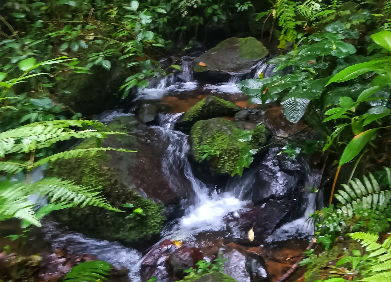kesejukan kawah ratu